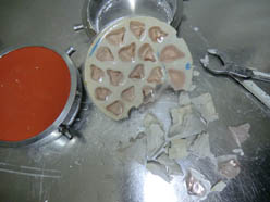 Filling of the resin mould